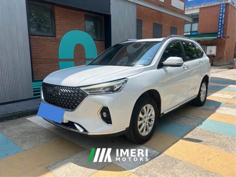 2023 Haval M6 2024 PLUS 1.5T DCT Peanut Good Car Custom Edition - ავტომობილი ჩინეთიდან
