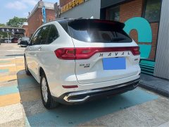 Haval M6 2024 PLUS 1.5T DCT Peanut Good Car Custom Edition - ფოტო 10
