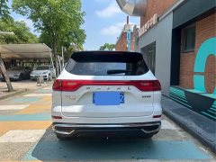 Haval M6 2024 PLUS 1.5T DCT Peanut Good Car Custom Edition - ფოტო 8