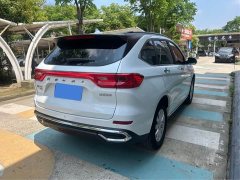 Haval M6 2024 PLUS 1.5T DCT Peanut Good Car Custom Edition - ფოტო 9