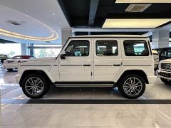Mercedes-Benz G-Class G 450 d - ფოტო 4