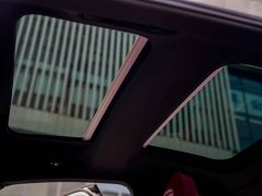 Porsche 2021 Panamera 2.9T - ფოტო 16
