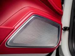 Porsche 2021 Panamera 2.9T - ფოტო 8