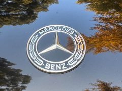 Mercedes-Benz GLS 450 4MATIC Luxury - ფოტო 3