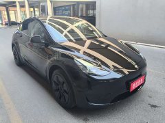 Tesla Model Y 2023 Rear-Wheel Drive - ფოტო 3
