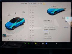 Tesla Model Y 2022 Long Range All-Wheel Drive - ფოტო 12