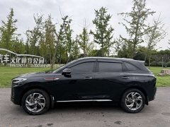 FAW Red Flag HS3 PHEV 2025 117km Dynamic Edition - ფოტო 3