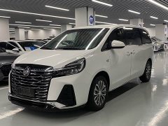 Buick GL8 Land Executive Cabin 652T Luxury - ფოტო 1