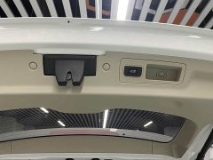 Buick GL8 Land Executive Cabin 652T Luxury - ფოტო 18