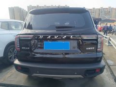 Great Wall Dachshund 1.5T DCT Two-Wheel Drive Border Collie Edition - ფოტო 16