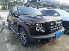 Great Wall Dachshund 1.5T DCT Two-Wheel Drive Border Collie Edition - ფოტო 3
