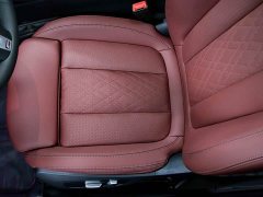 BMW 3 Series 320Li M Sport Package - ფოტო 14
