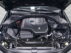 BMW 3 Series 320Li M Sport Package - ფოტო 19