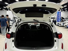 Haval Chitu Jingxiang Edition 1.5T Purple Copper Rabbit - ფოტო 19