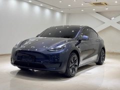 Tesla Model Y Rear-Wheel Drive - ფოტო 1