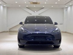 Tesla Model Y Rear-Wheel Drive - ფოტო 2