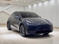 Tesla Model Y Rear-Wheel Drive - ფოტო 3
