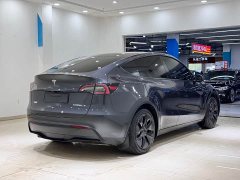 Tesla Model Y Rear-Wheel Drive - ფოტო 6