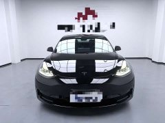 Tesla Model 3 Standard Range RWD Upgrade - ფოტო 2