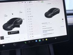 Tesla Model 3 Standard Range RWD Upgrade - ფოტო 4