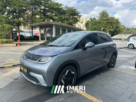 2023 BYD Dolphin 405km Fashion Edition - ავტომობილი ჩინეთიდან