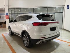 Haval H6 2021 National Trend 1.5T Automatic Champion Edition - ფოტო 6