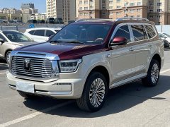 Tank 500 3.0T Special Edition 5-Seater - ფოტო 1