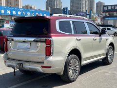 Tank 500 3.0T Special Edition 5-Seater - ფოტო 9