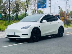 Tesla Model Y Rear-Wheel Drive - ფოტო 1