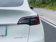 Tesla Model Y Rear-Wheel Drive - ფოტო 10