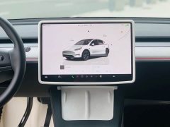 Tesla Model Y Rear-Wheel Drive - ფოტო 16