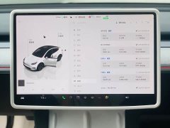 Tesla Model Y Rear-Wheel Drive - ფოტო 19