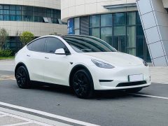 Tesla Model Y Rear-Wheel Drive - ფოტო 3