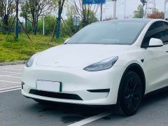 Tesla Model Y Rear-Wheel Drive - ფოტო 4