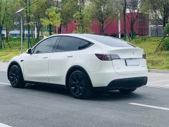 Tesla Model Y Rear-Wheel Drive - ფოტო 5