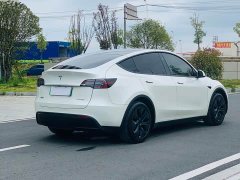 Tesla Model Y Rear-Wheel Drive - ფოტო 7