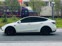 Tesla Model Y Rear-Wheel Drive - ფოტო 8