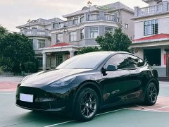 Tesla Model Y 2023 Rear-Wheel Drive - ფოტო 1