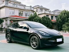 Tesla Model Y 2023 Rear-Wheel Drive - ფოტო 3
