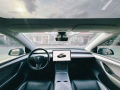 Tesla Model Y 2023 Rear-Wheel Drive - ფოტო 5