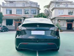 Tesla Model Y 2023 Rear-Wheel Drive - ფოტო 8