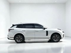 Lynk & Co 09 2.0T AWD Sport 5-Seater - ფოტო 12