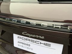 Porsche 2019 Cayenne 3.0T - ფოტო 18