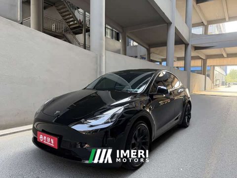2021 Tesla Model Y Standard Range RWD - ავტომობილი ჩინეთიდან