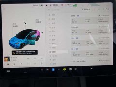 Tesla Model 3 Standard Range RWD Upgrade - ფოტო 11