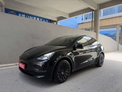 Tesla Model Y Long Range All-Wheel Drive - ფოტო 1