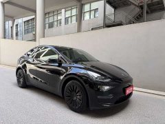 Tesla Model Y Long Range All-Wheel Drive - ფოტო 2