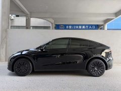 Tesla Model Y Long Range All-Wheel Drive - ფოტო 9