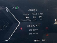 Honda Lingxi L Top Player Edition - ფოტო 15