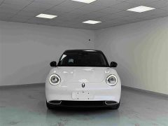 ORA Good Cat 400km Standard Range Athena Edition LFP Battery - ფოტო 2